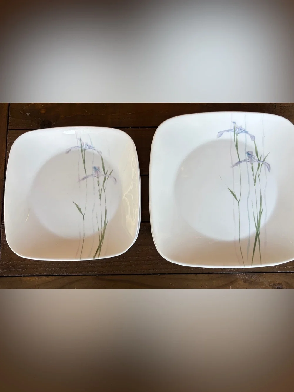 Corelle shadow irise Dinner and salad plates set of 5
